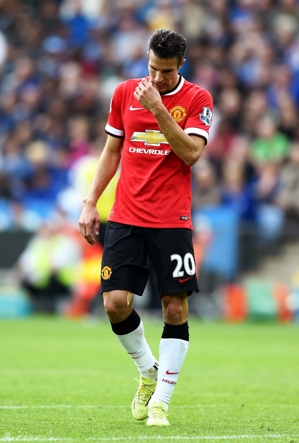 德甲保级大战愈加激烈（德甲保级之争日趋白热化）